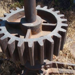 Rusty Gear Wheel in the Grass