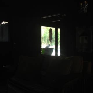 Cozy Dark Living Room with Window View