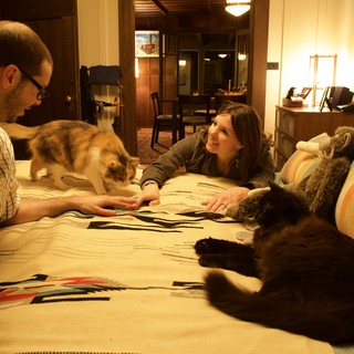Couple Relaxing on Bed with Two Cats