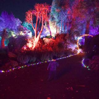 Enchanted Nights at Garden of D'Lights