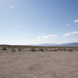 Solitude in the Desert