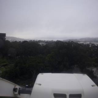 Urban Jungle: A Cloud-Kissed View from the Golden Gate Park Sky Wheel