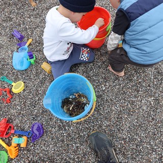 Young Boys Discovering Treasures in Beach Buckets