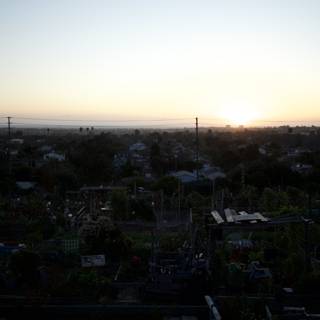 A Sunset View of the City from the Garden