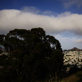 Urban Natural Meld: San Francisco Adventure