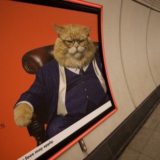 Humorous Cat in Business Suit Advertisement in London Underground