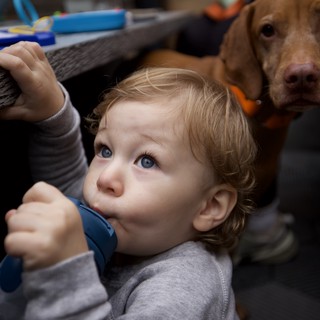 Child and Therapy Dog Share Tender Moment During Session