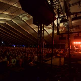 The Electric Crowd at Coachella 2012