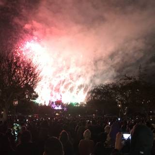 Magical Fireworks at Disneyland