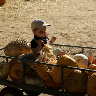 Harvest Time Adventures with the Metzgars