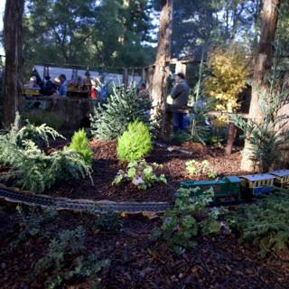 Whimsical Gardens at Thistlewyck