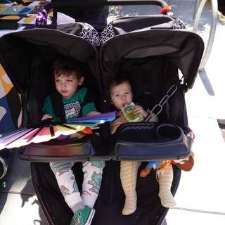 Stroll and Play on a Sunny Day