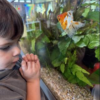 Captivated by the Aquarium Wonders