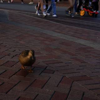 A Quack-tastic Stroll at Disneyland