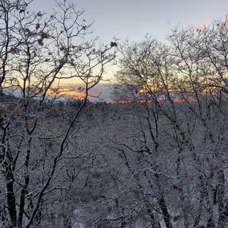 Winter Wonderland Sunset
