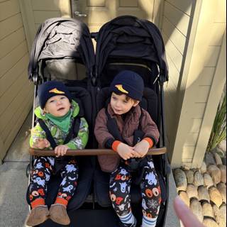 Cozy Duo in Carmel