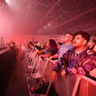 Crowd Surges at Wobbleland 2026 Festival Barrier