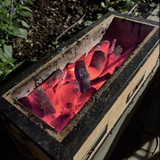 Ember Glow in the Garden