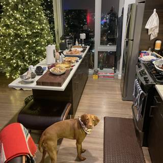 Christmas Pup in the Kitchen
