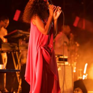 Solange Shines on Stage in Pink Gown
