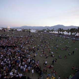The Concert Crowd at Coachella 2011