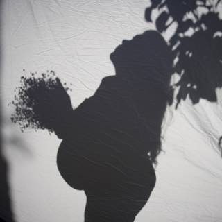 Motherhood in Silhouette