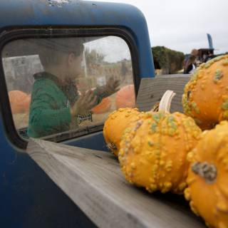 Pumpkin Patch Reflections