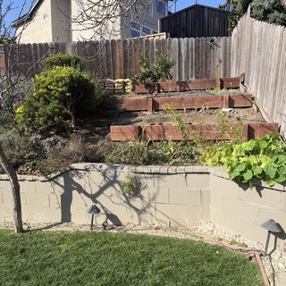 Terraced Hillside Garden with Retaining Walls