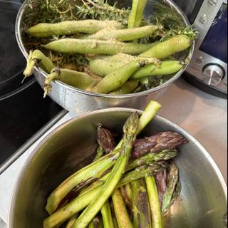 May Harvest: Asparagus and Green Beans