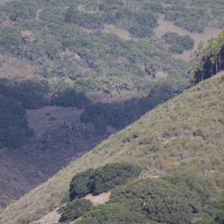 Tranquil Hills of Carmel Valley