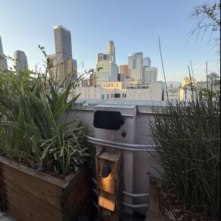 Urban Oasis in the Heart of Los Angeles