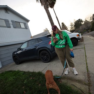Walking the Dog While Checking Phone at Dusk