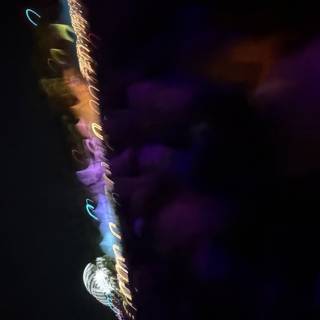 Enigmatic Nightfall
