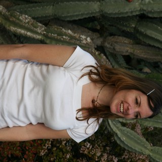 columnar-cactus