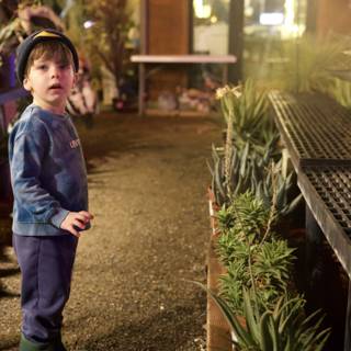 Curious Wanderer in the Garden
