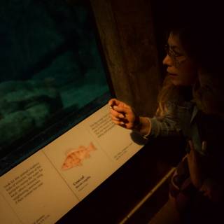 Enthralling Underwater Journey at Monterey Bay Aquarium