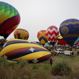 Colorful Hot Air Balloons Fill the Morning Sky