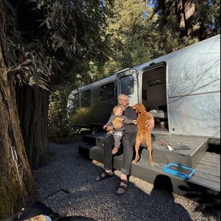 Morning Bliss in the Redwoods