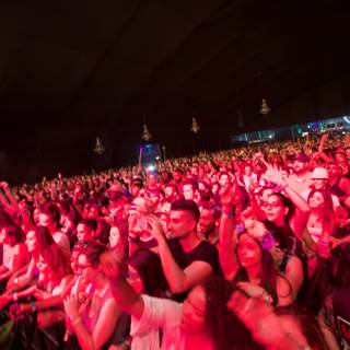 Crowd Goes Wild at Coachella 2014