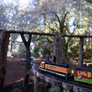 Enchanted Woodland Railway