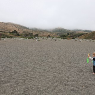 Toddler Explores Gray Sand Beach on Foggy Day
