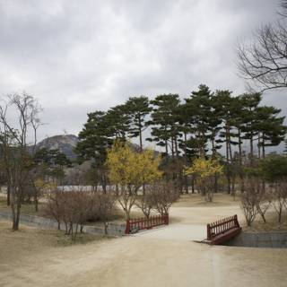 Stroll Through The Serenity: 2024, Korea