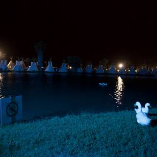 Nighttime Ducks by the Lake