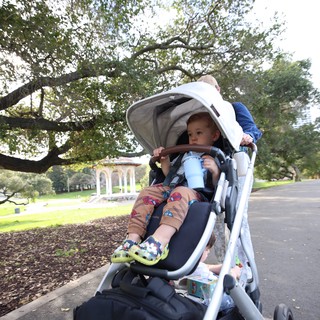 Child in Stroller on Park Path Under Oak Trees