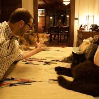 Cozy Living Room with Feline Companions