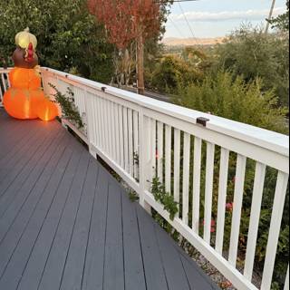 Autumn on the Deck