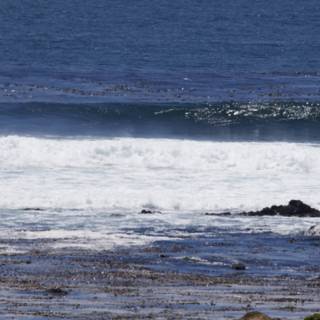 Ocean Symphony