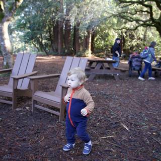 Exploring the Woodlands