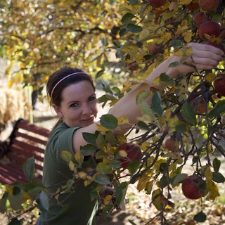apple-orchard-likely-southwestern-united-states-possibly-arizona-or-california-based-on-vegetation-and-dry-ground
