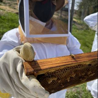 Beekeeper in Action